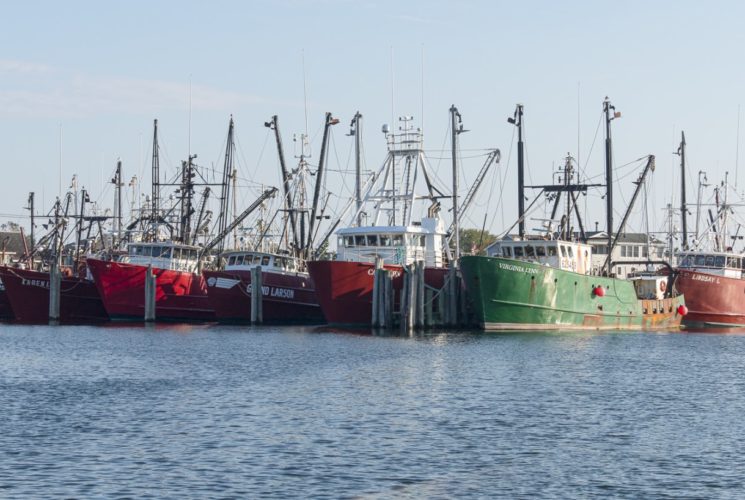 Multiple colorful boats in slips on the water