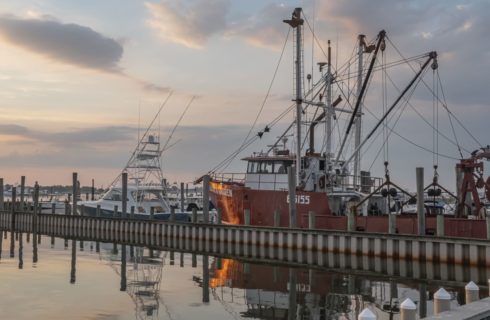 Two large boats in slips in the harbor