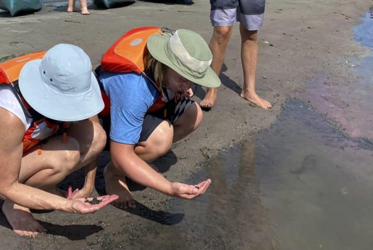 People squatting near shallow water looking at rocks in the water