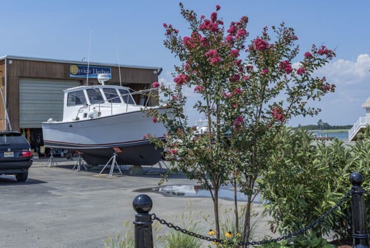 White boat out of the water in front of service building with small green bushes, flowers, and pink flowering trees nearby